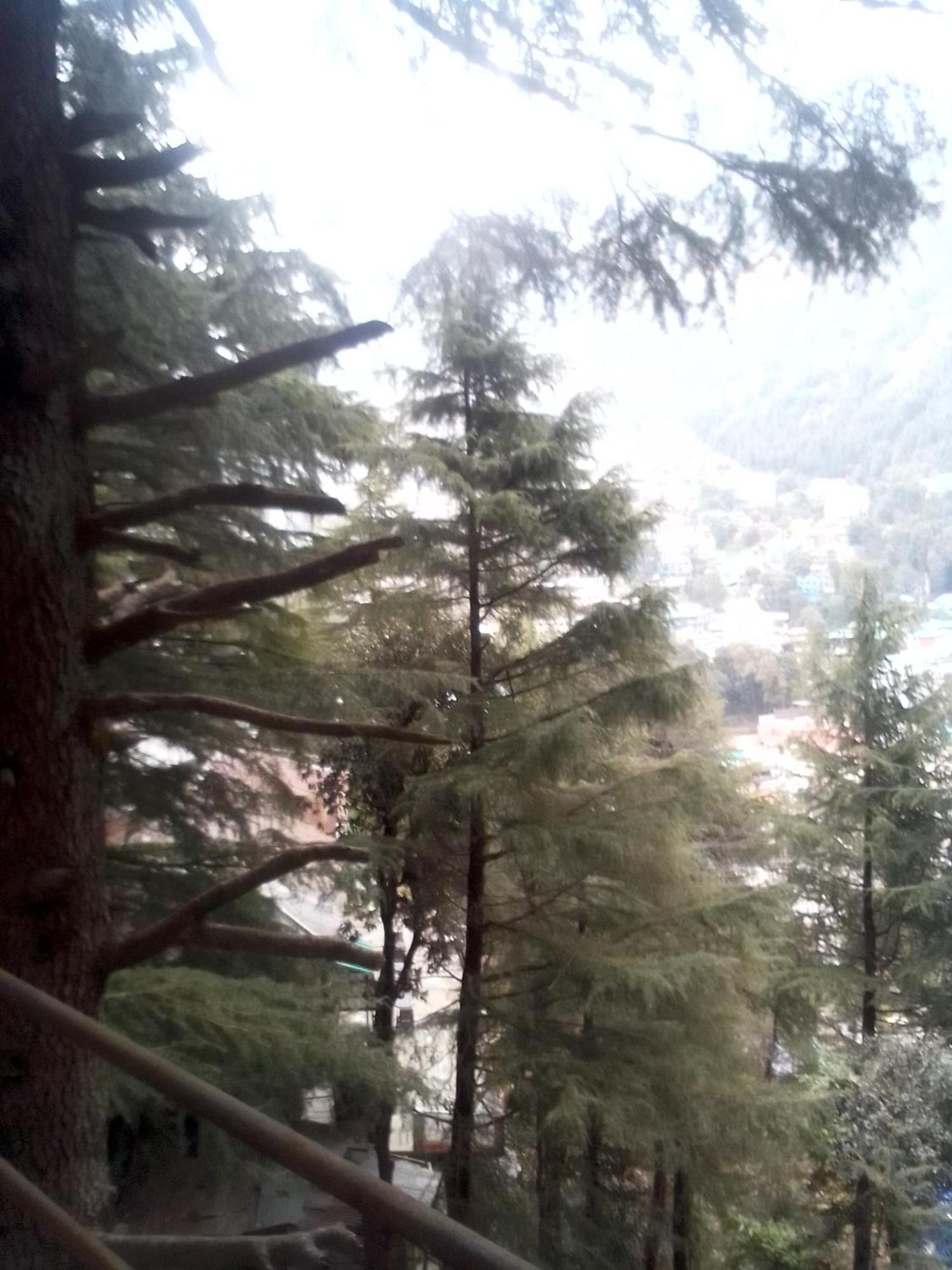 Himalayan Mountain Trekkers And Waterfalls View Homestay McLeod Ganj Exteriör bild